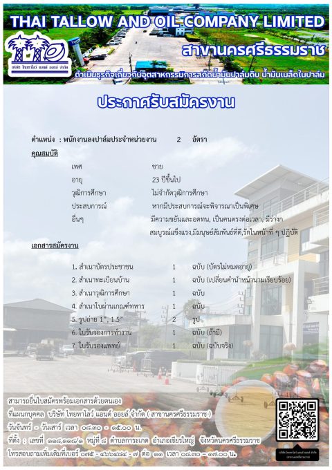 รับสมัครลงปาล์ม TTO-3 12-11-2568